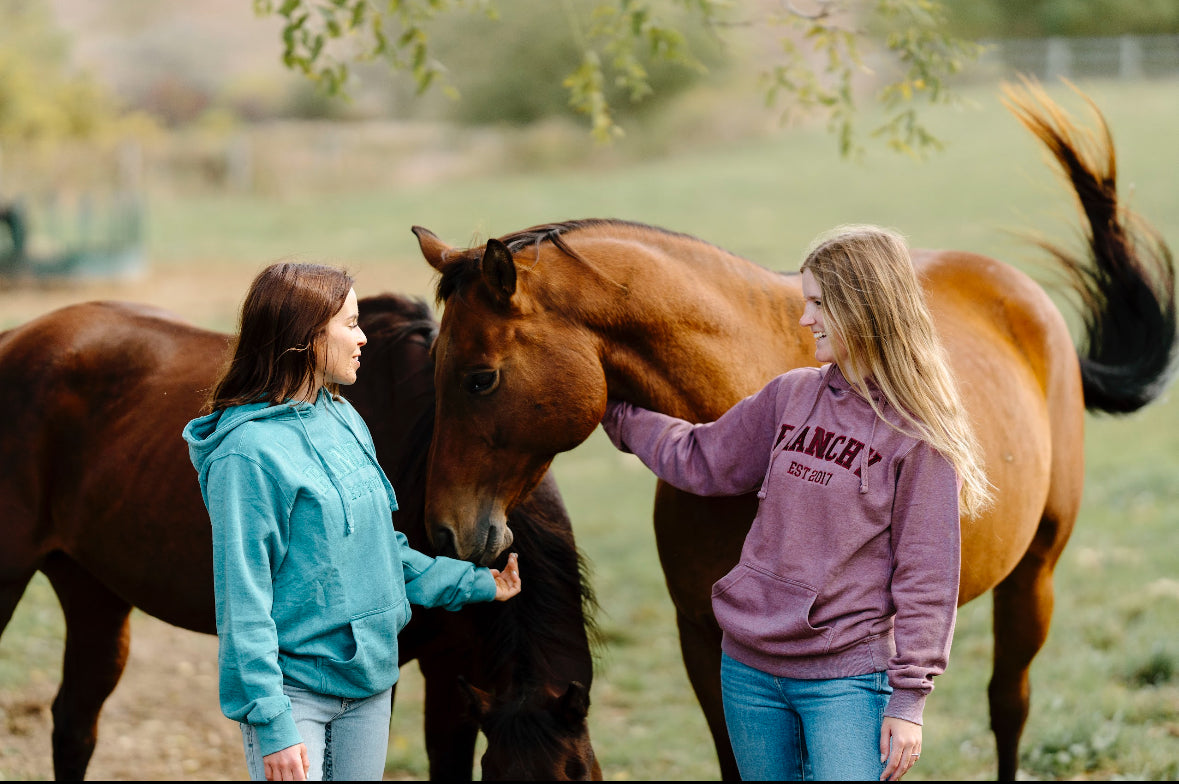 Distressed Varsity Hoodie