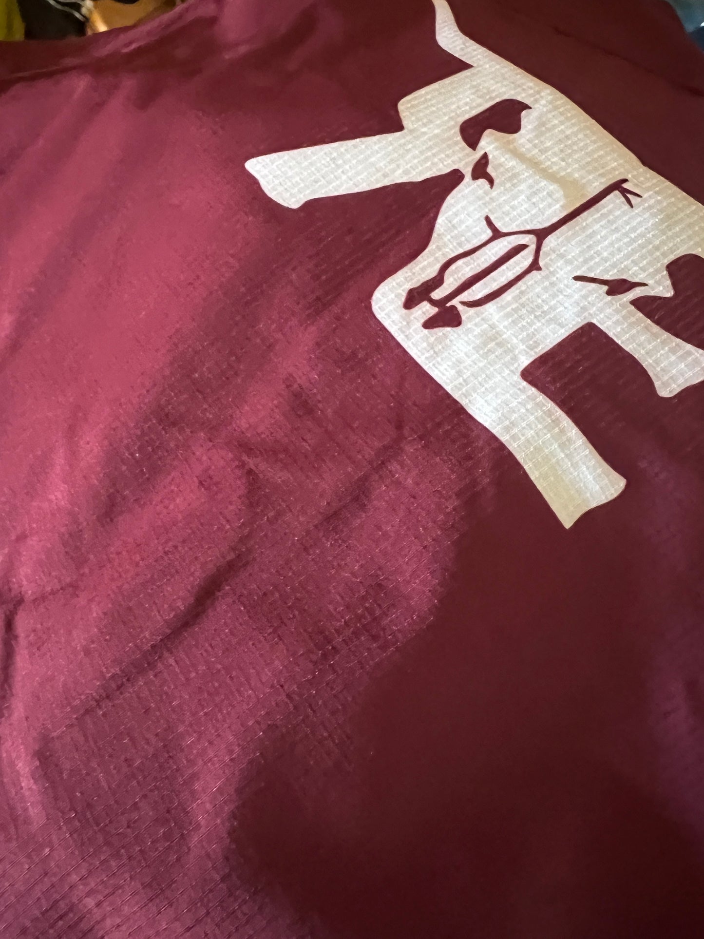 Come Check This Out Showshirt
