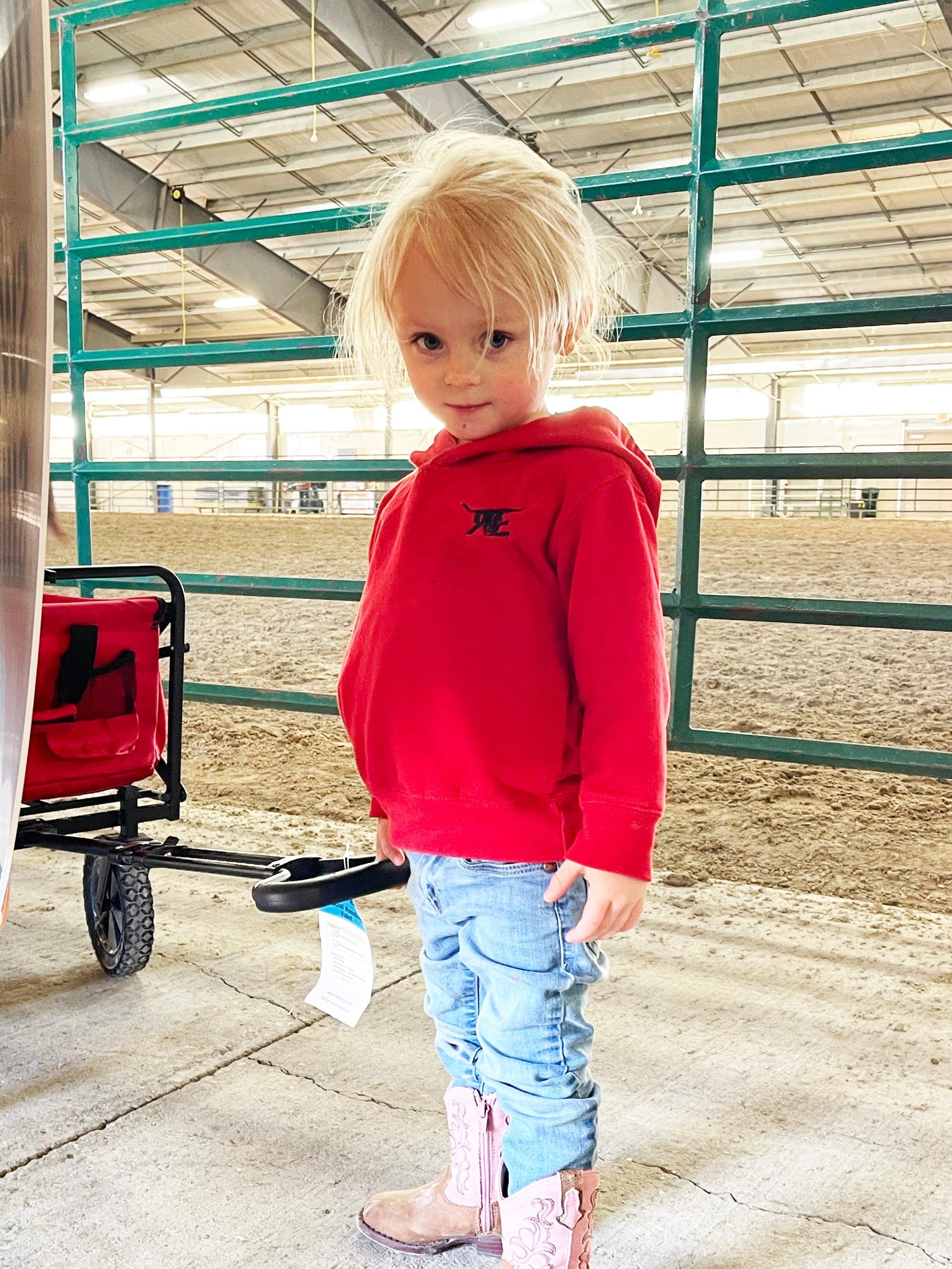 Toddler Pullover Hoodie - The Ranchy Equestrian